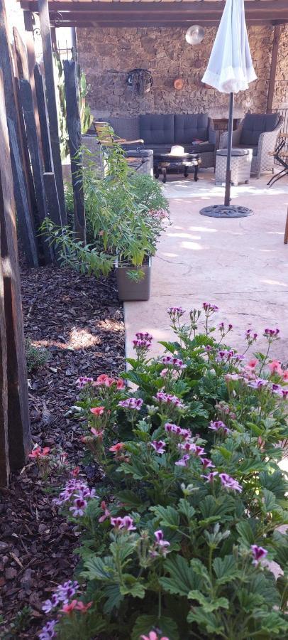 Mas Elena Bed & Breakfast Generargues Bagian luar foto
